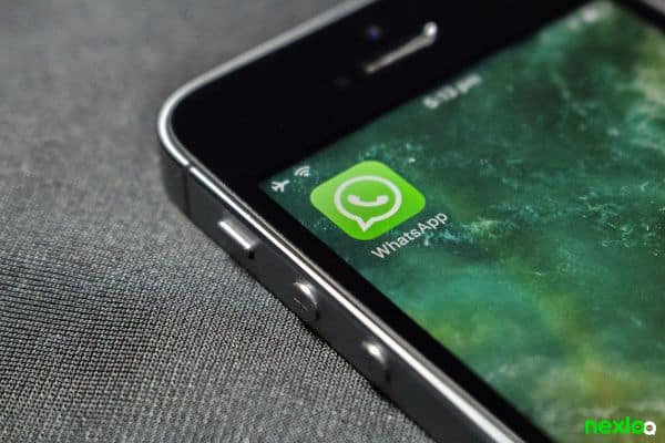 whatsapp whatsapp business